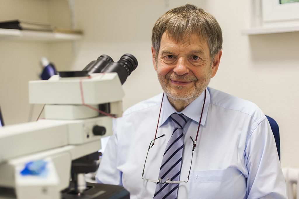 Universität Würzburg Institut Für Pathologie Standort Frankfurt Nordwest Archive | Institut für Pathologie und