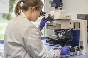 Institut für Pathologie und Zytodiagnostik Main-Taunus